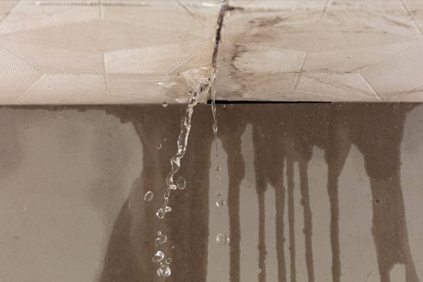 Professional Water Damage Repair technician working in Howard Beach, NY